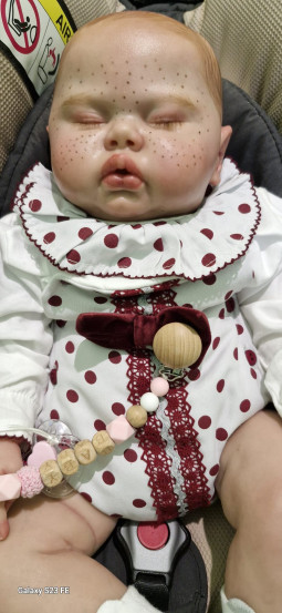 Kit Pickle de Nikki...