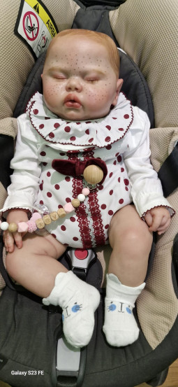 Kit Pickle de Nikki... 2