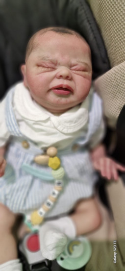 Kit Vicent de Nikki...